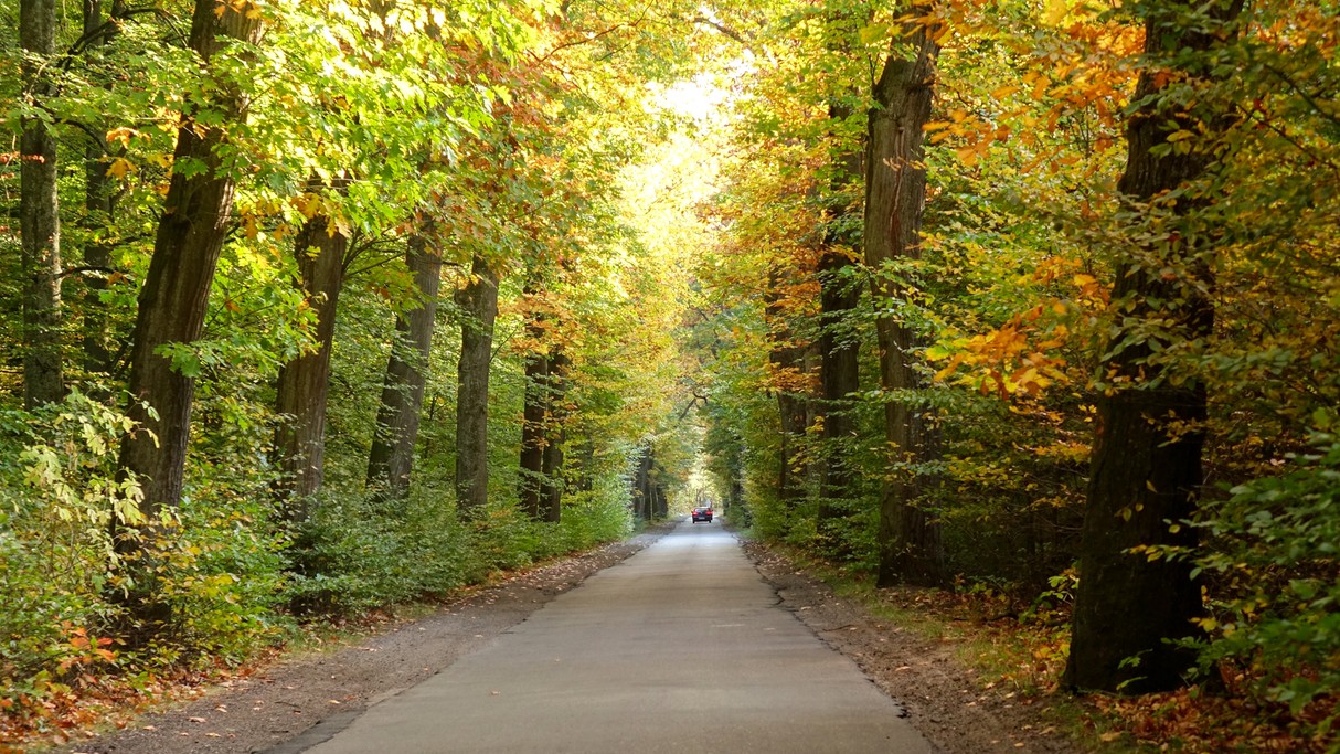 Jesienne krajobrazy za miastem - zdjęcie 45