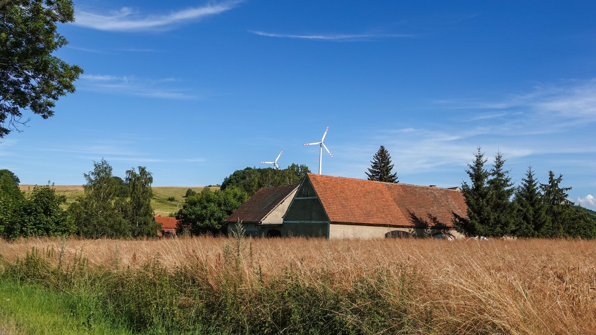 Środek lata w plenerze - zdjęcie 6