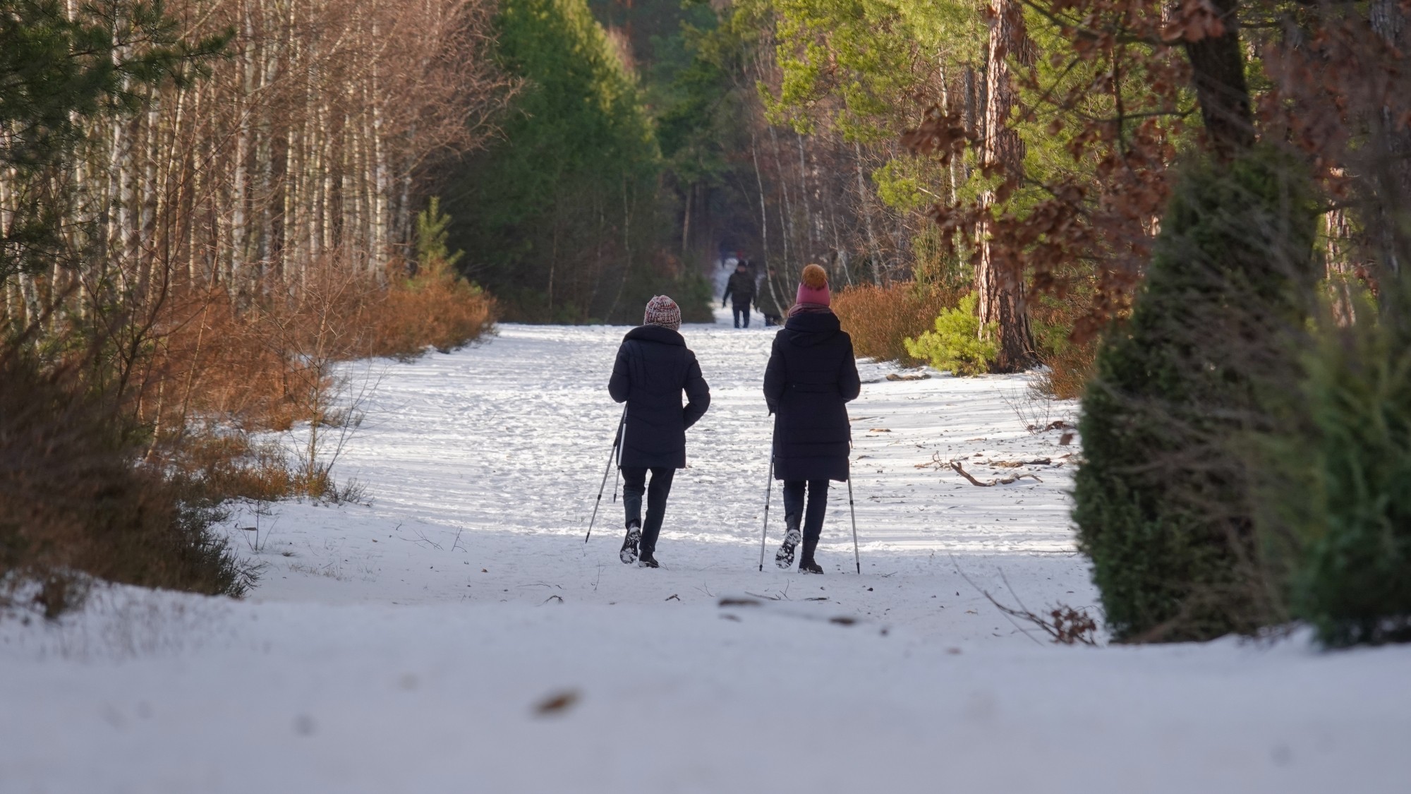 Oblicza zimy - zdjęcie 9