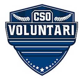 CSO Voluntari 2005