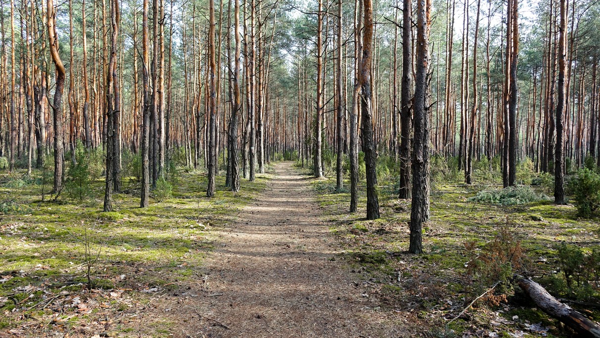 Marzec w obiektywie - zdjęcie 38