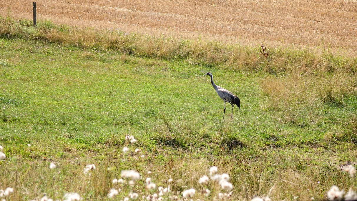 Lipiec w obiektywie - zdjęcie 19