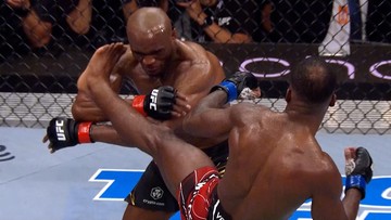 UFC 278: Wyniki i skróty walk. Kolejne zwycięstwo Polaka