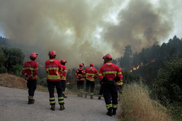 Z pożarem lasu w Portugalii walczy prawie tysiąc strażaków, niemal trzysta pojazdów i 11 samolotów