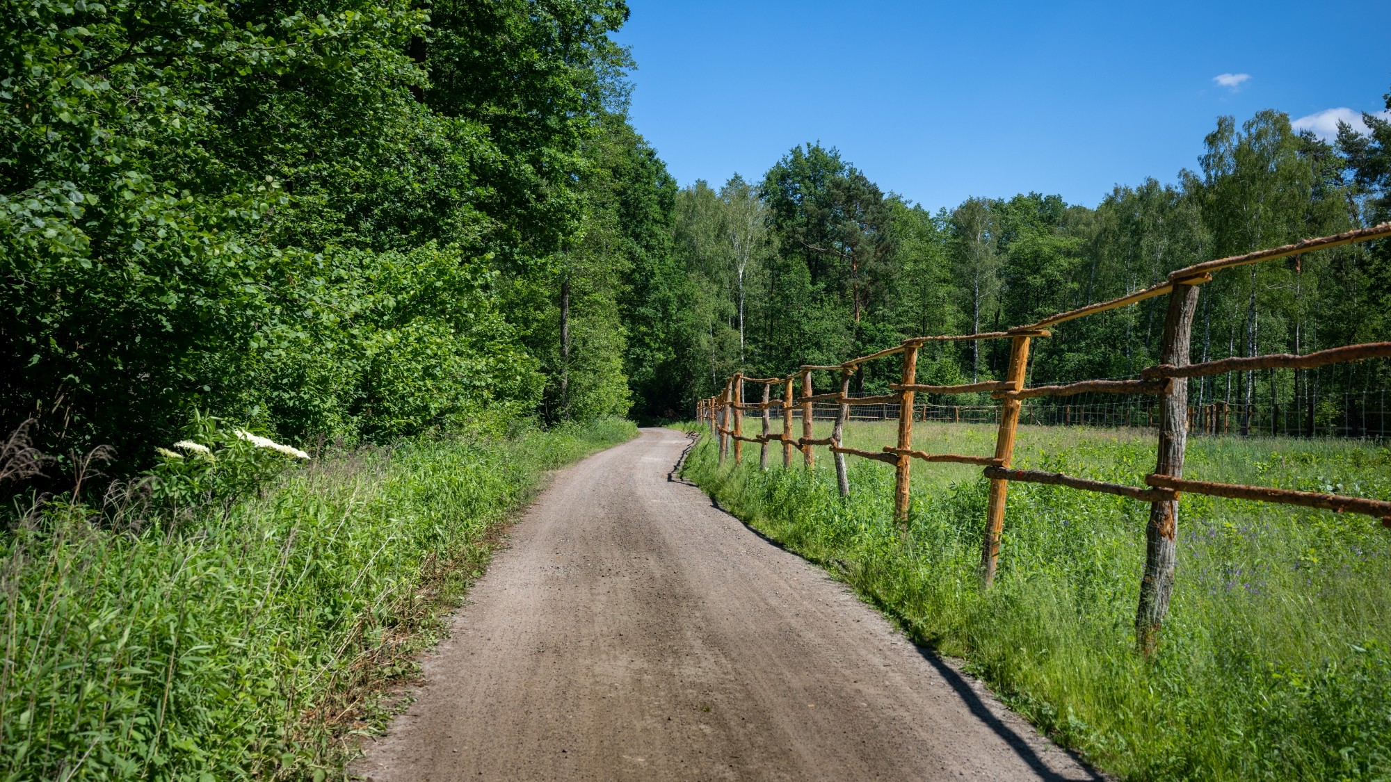Lato na prowincji - zdjęcie 47