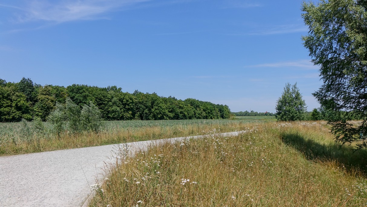 Czerwiec w obiektywie - zdjęcie 59