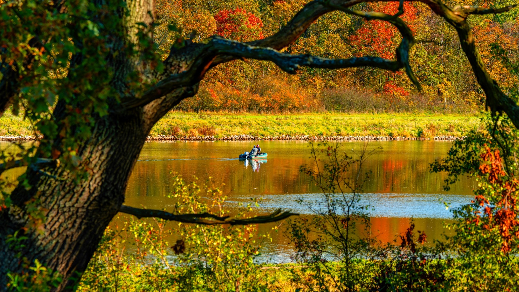 Piękny listopad - zdjęcie 11