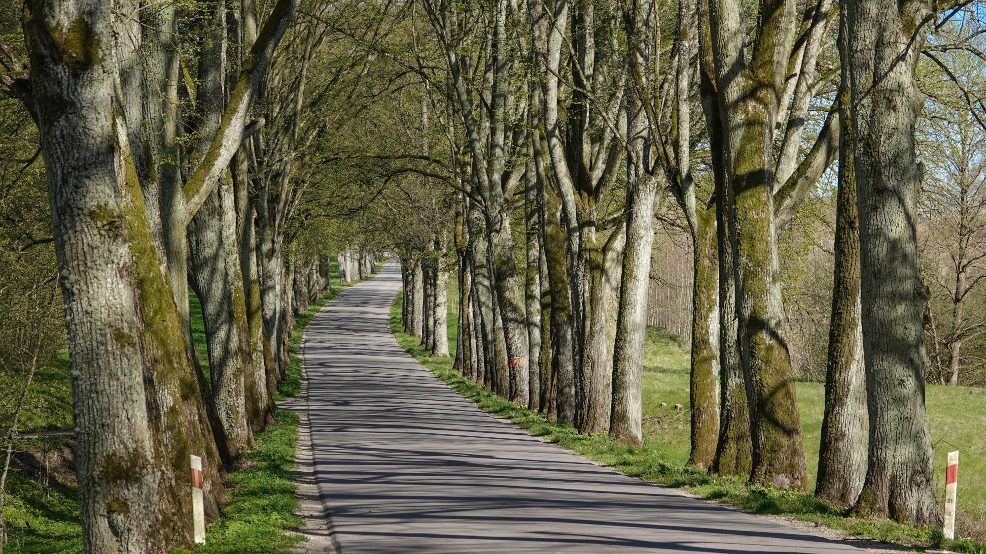 W maju jak w raju - zdjęcie 6