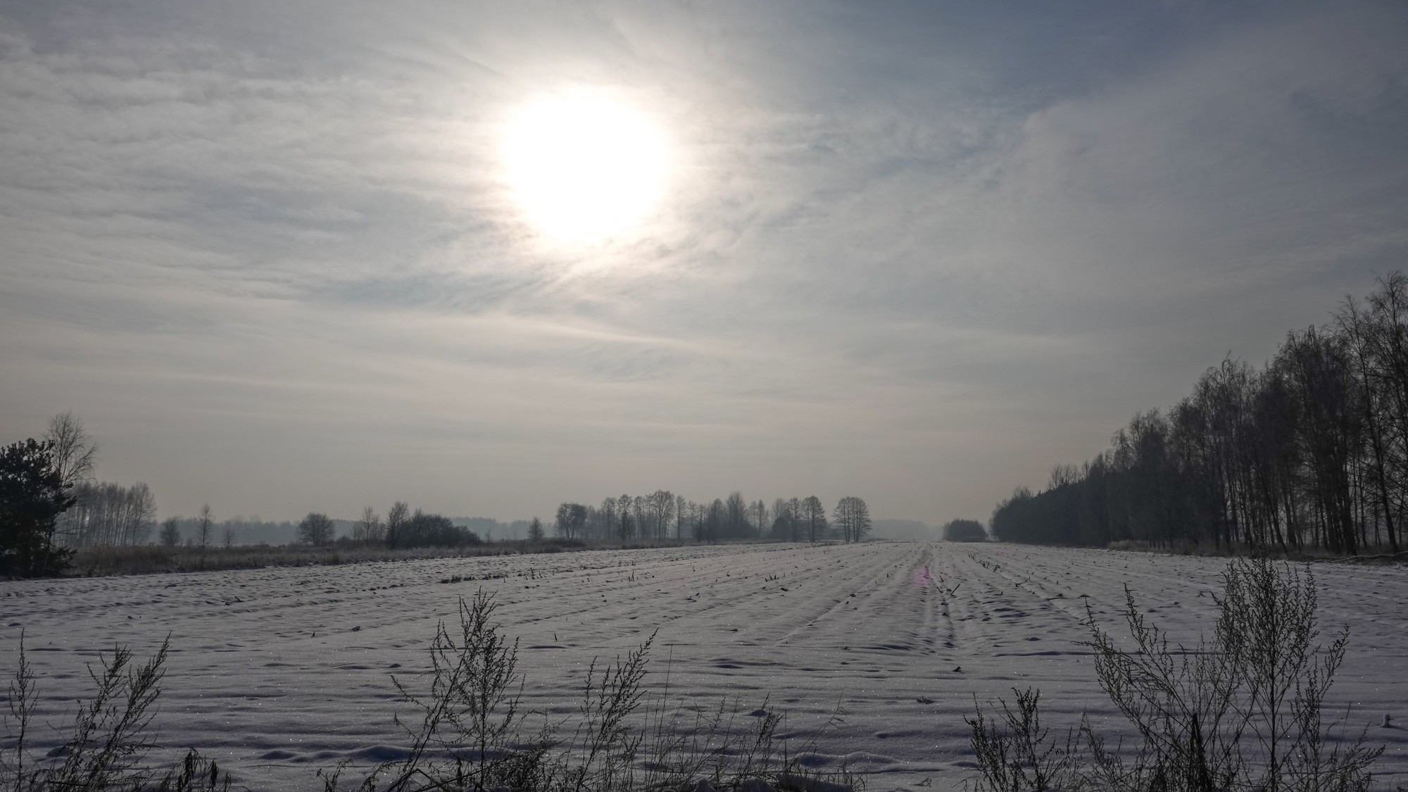 Na lodowym szlaku - zdjęcie 64