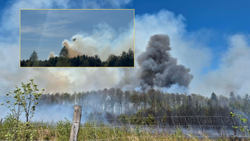 Płoną hektary lasu koło Częstochowy. Strażaków wspiera samolot gaśniczy