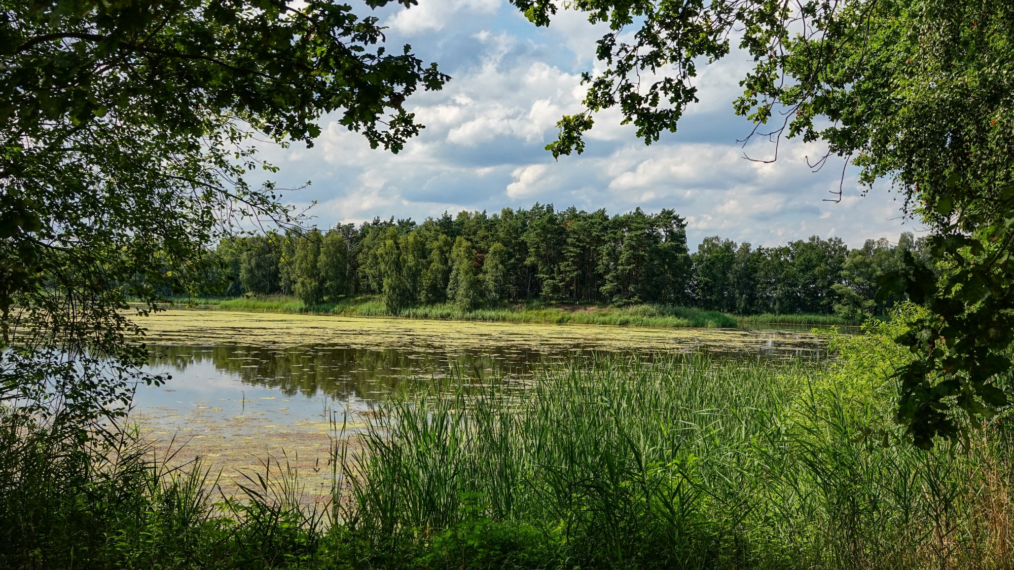 Podróż przez polską prowincję - zdjęcie 12