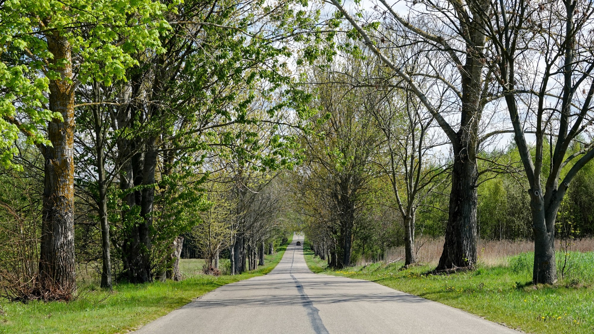Kwiecień w obiektywie - zdjęcie 59