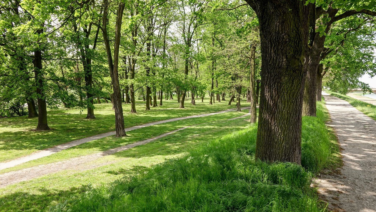 Maj w obiektywie - zdjęcie 28