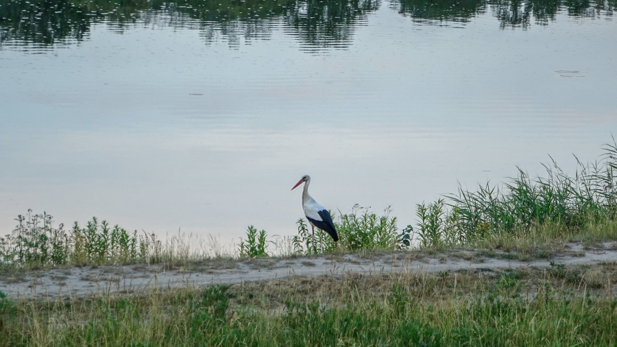 Fot. TwojaPogoda.pl