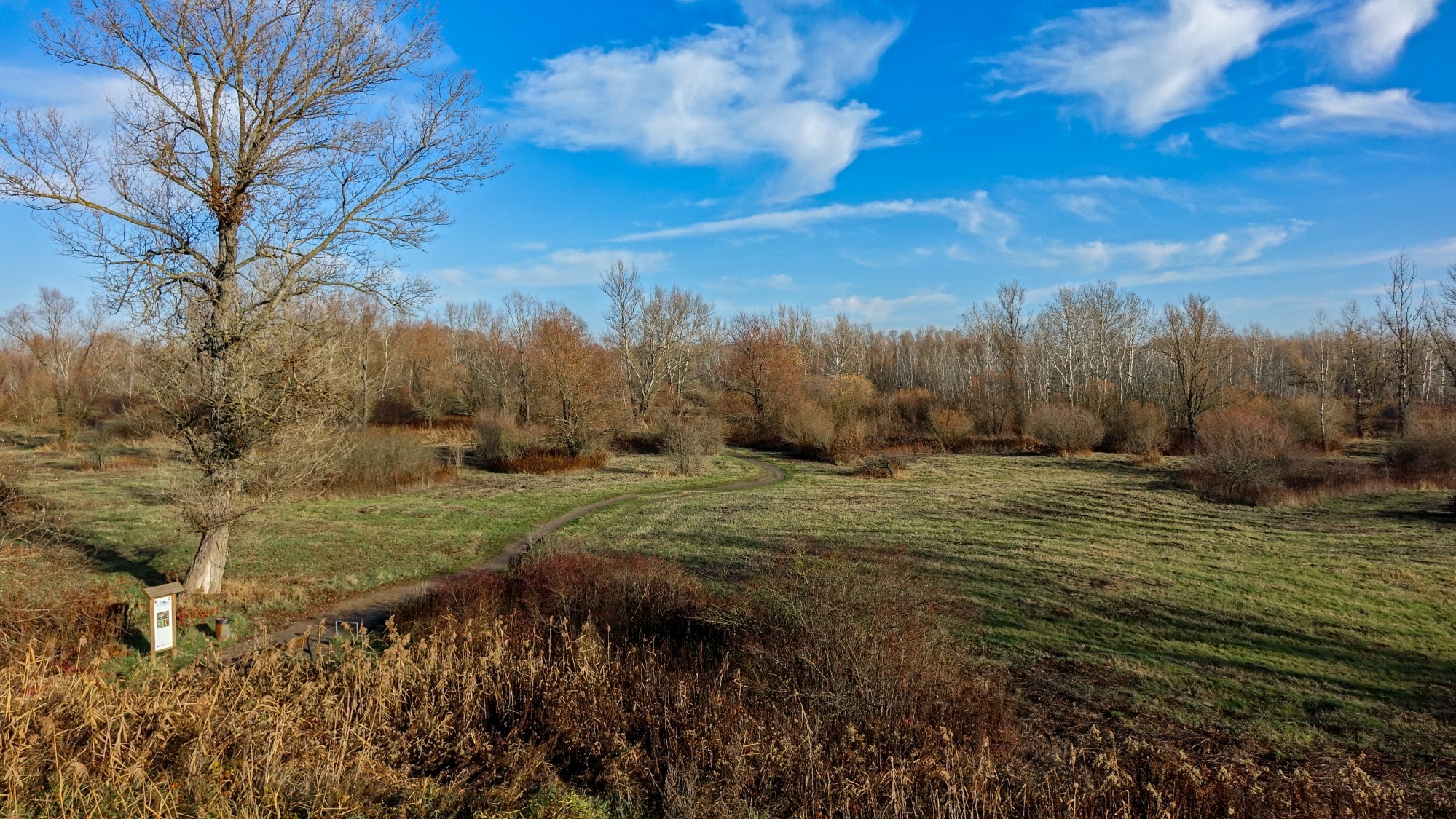 Listopad w obiektywie - zdjęcie 13