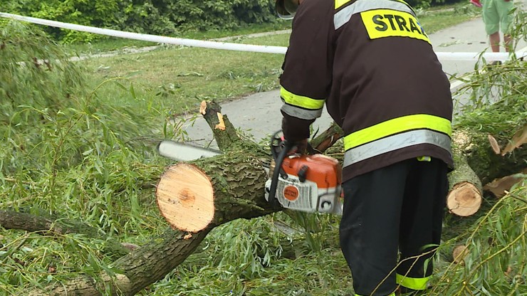 Podtopienia, powalone konary drzew. Blisko tysiąc interwencji strażaków po burzach