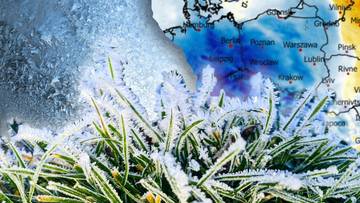 Zbliżenie na trawę pokrytą szronem, w tle mapa Europy z zaznaczonymi temperaturami.
