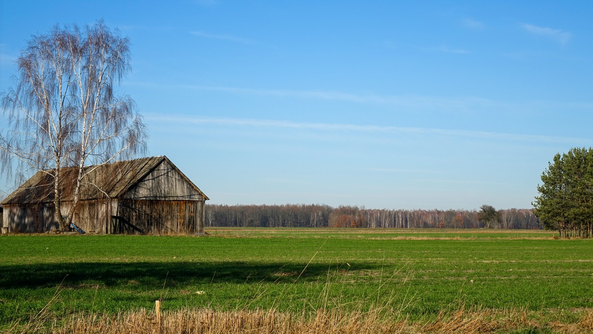 Listopad w obiektywie - zdjęcie 17