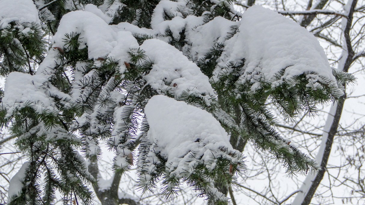 Minione zimy w Polsce - zdjęcie 41