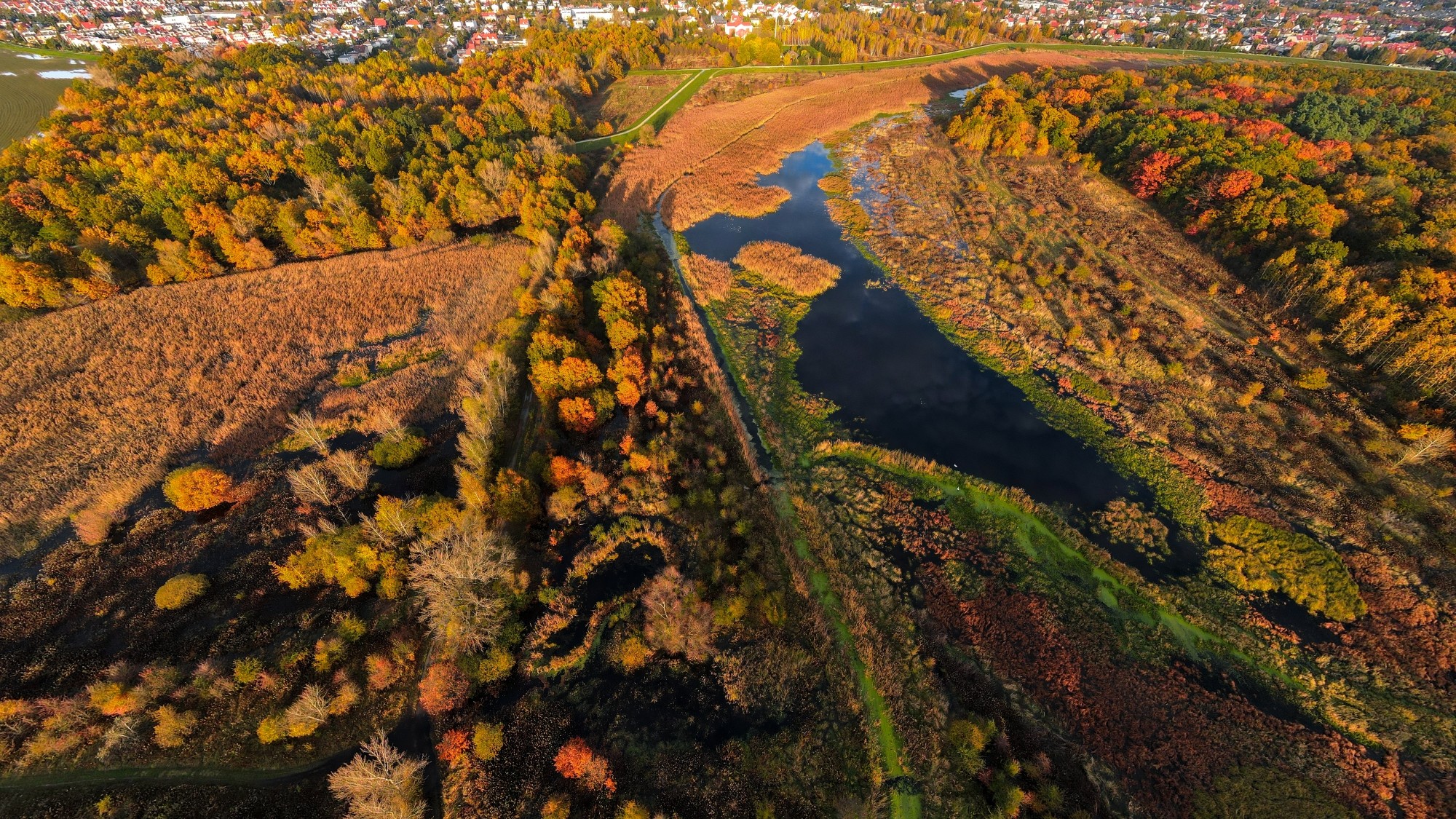 Jesień w Polsce z lotu ptaka - zdjęcie 18