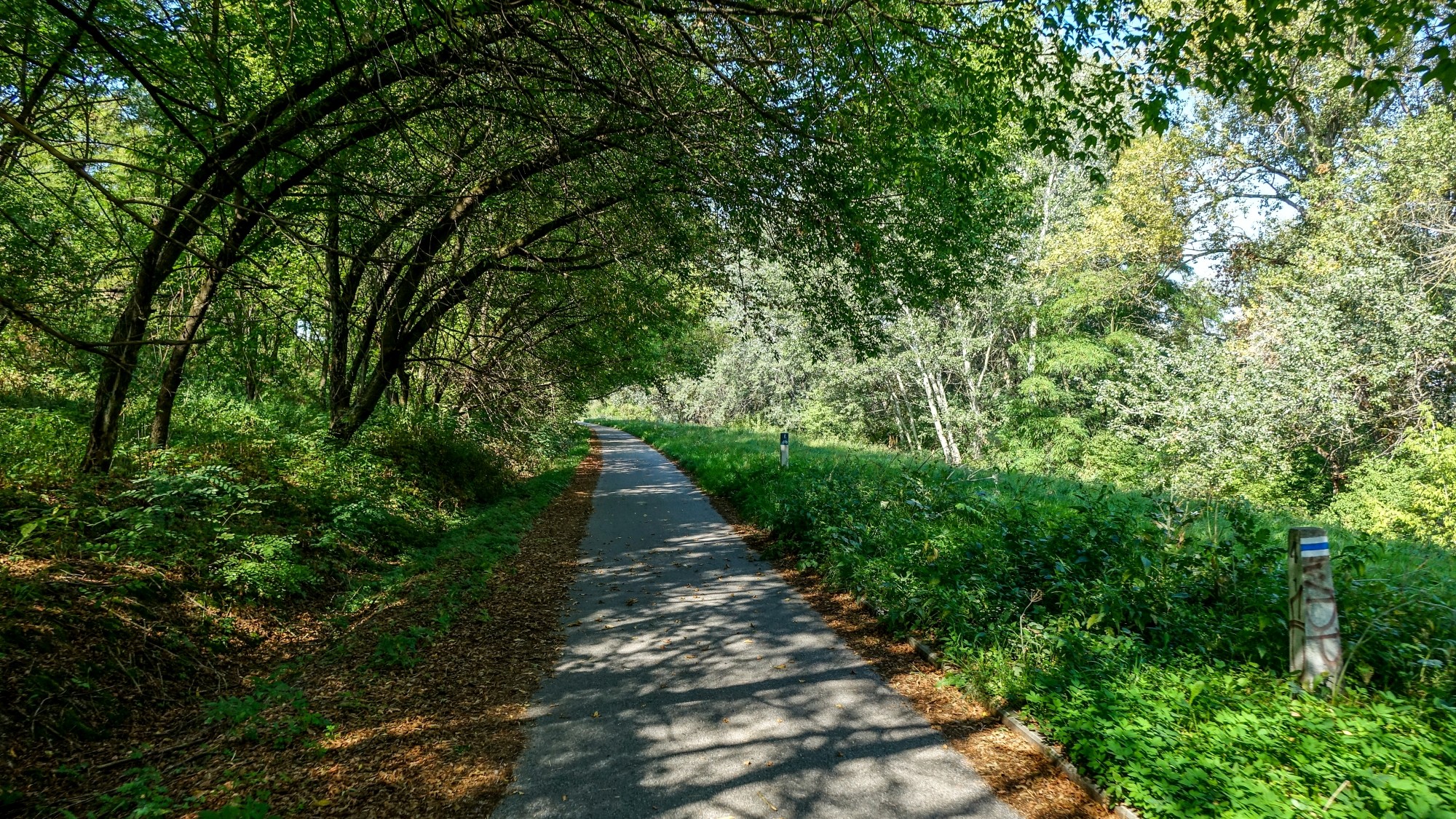 Wrzesień w obiektywie - zdjęcie 19