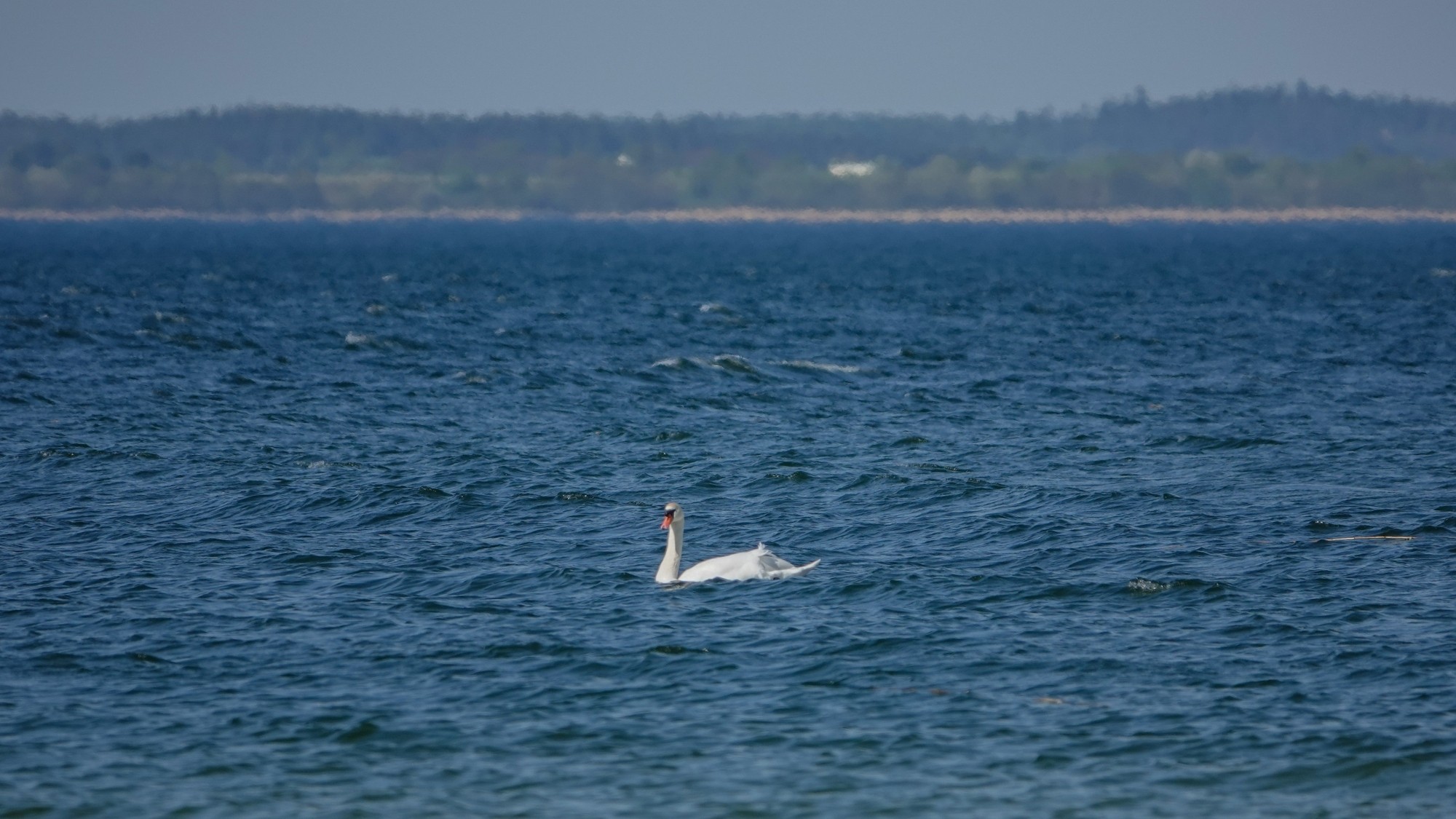 W maju jak w raju - zdjęcie 59