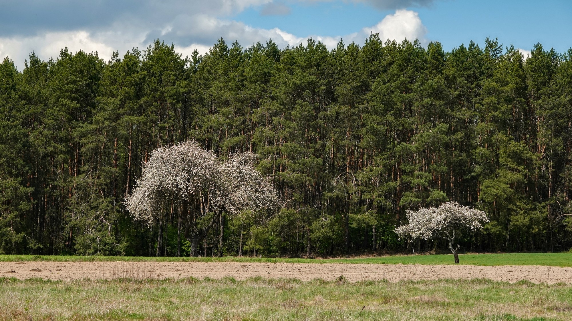 Kwiecień w obiektywie - zdjęcie 63