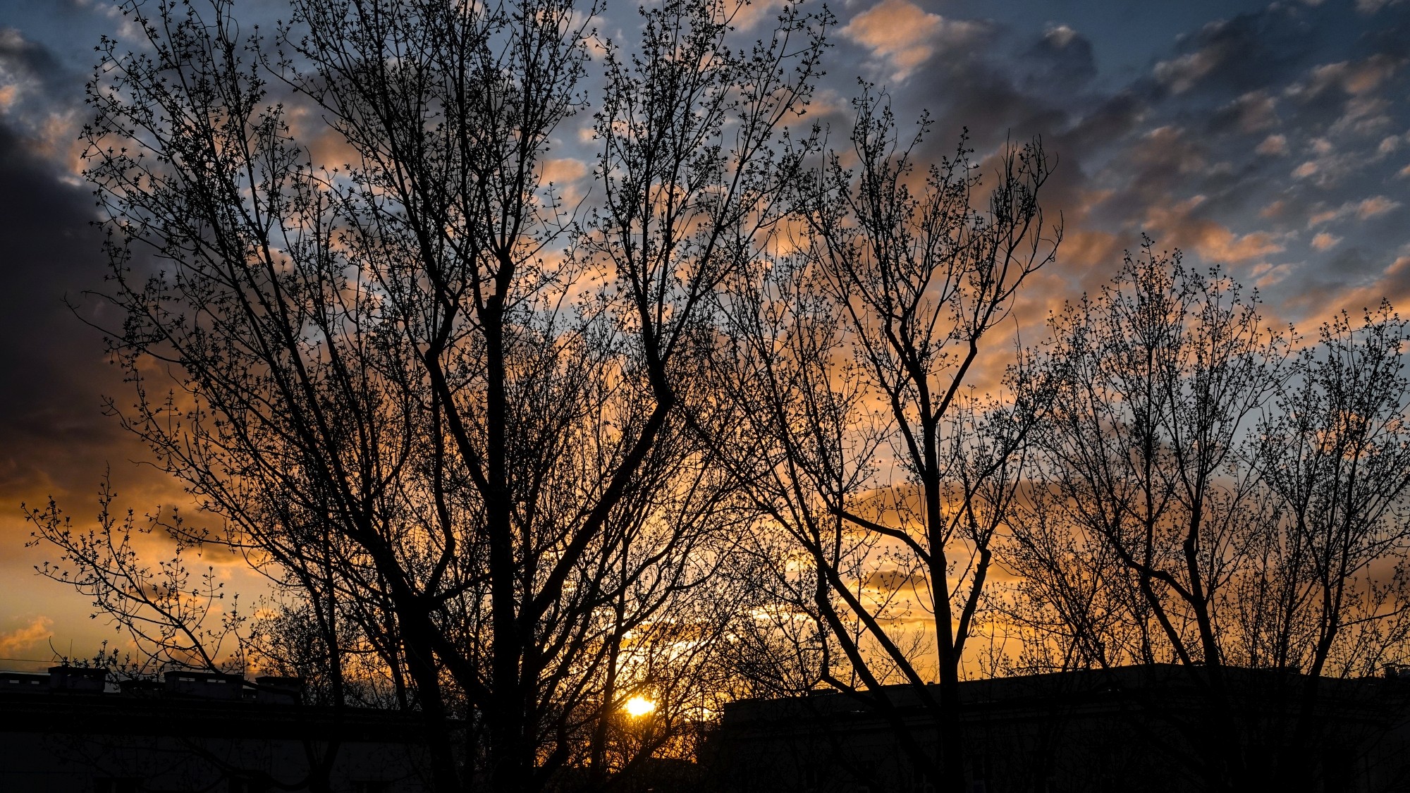 Marzec w obiektywie - zdjęcie 20