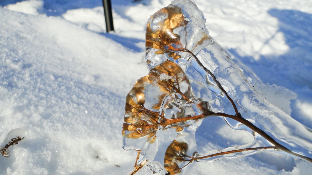 Bajkowa kraina śniegu i lodu - zdjęcie 4