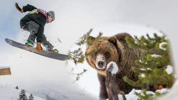 Rosjanin przeżył atak niedźwiedzia. Pomógł mu telefon