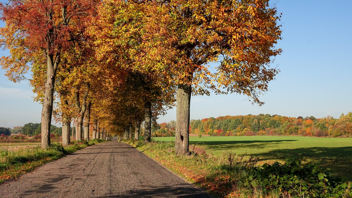 Polskie krajobrazy w 2018 roku - zdjęcie 5