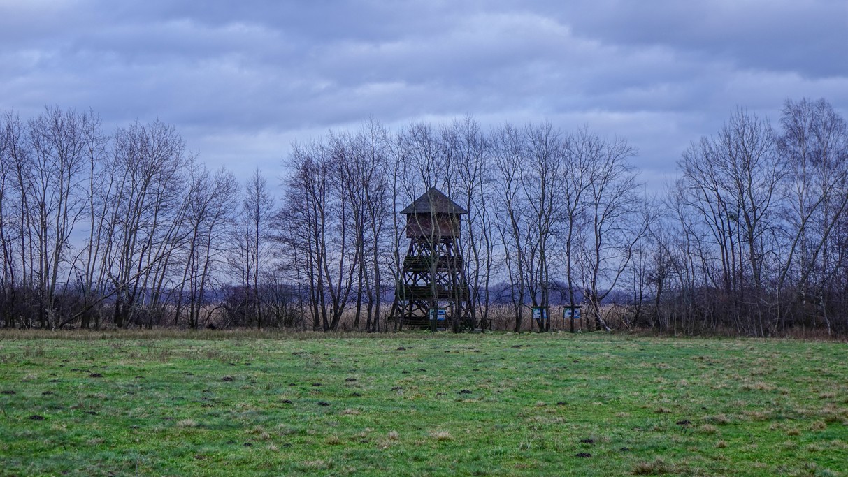 Styczeń w obiektywie - zdjęcie 30