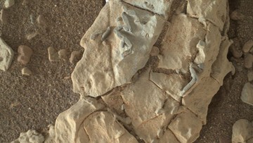 Czy łazik Curiosity odkrył na Marsie skamieliny obcego życia? Spekulacje po opublikowaniu zdjęć