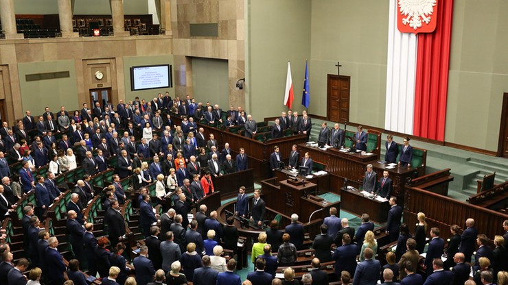 W listopadzie do Sejmu może wrócić "piątka dla zwierząt". Posłanka Zielonych liczy na poparcie PiS-u