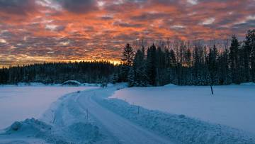 Zasypana śniegiem droga prowadząca do lasu na tle pomarańczowego, zachodzącego słońca.