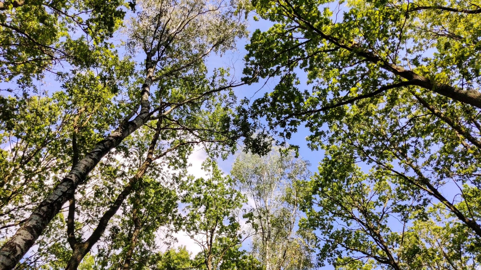 Wrzesień w obiektywie - zdjęcie 57