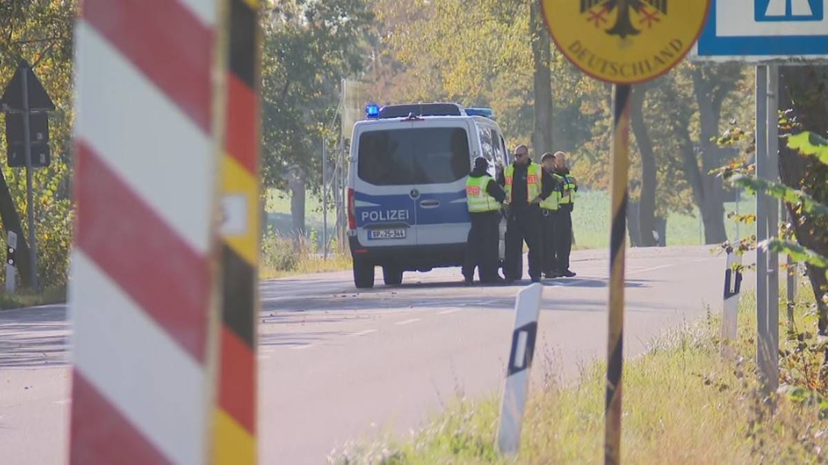 Pryszczyca w Niemczech. "Tempo rozprzestrzeniania tej choroby jest olbrzymie"