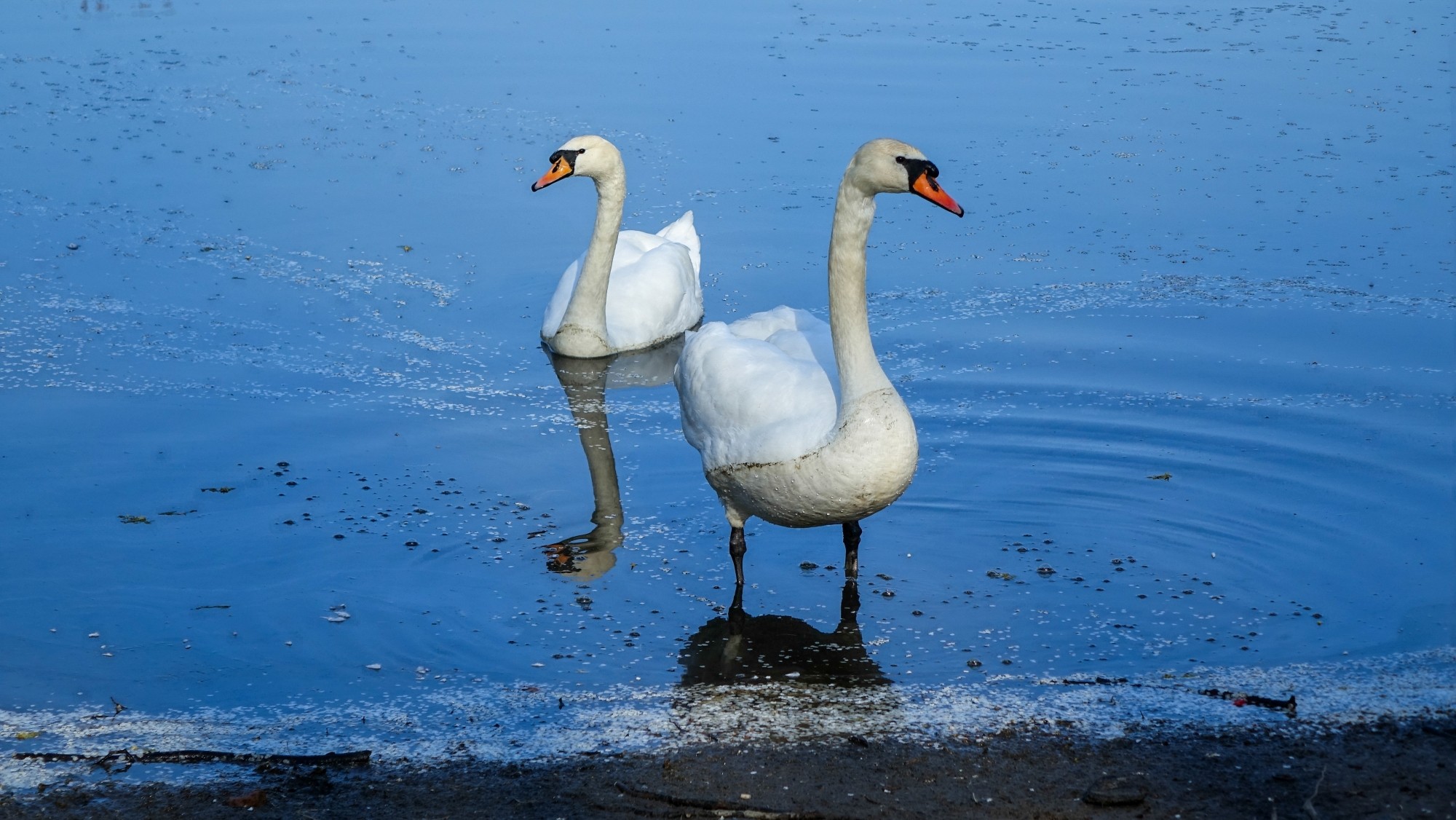 Podróż przez wiosenną Polskę - zdjęcie 24