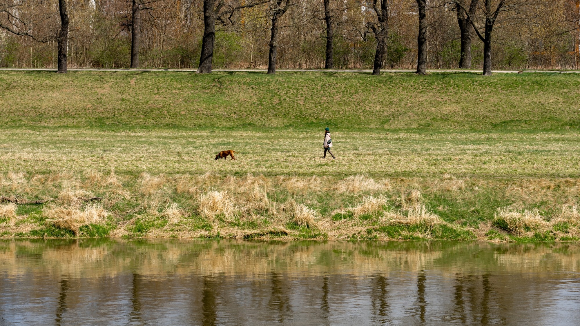 Miejska przyroda - zdjęcie 50