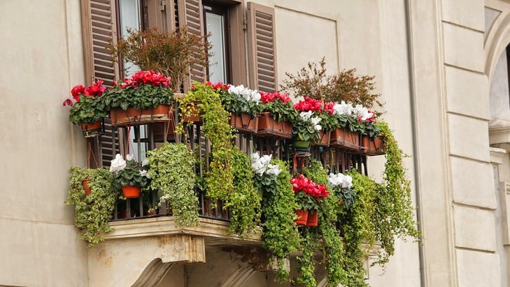 Włosi odliczą od podatku wydatki na zieleń z balkonów i ogrodów