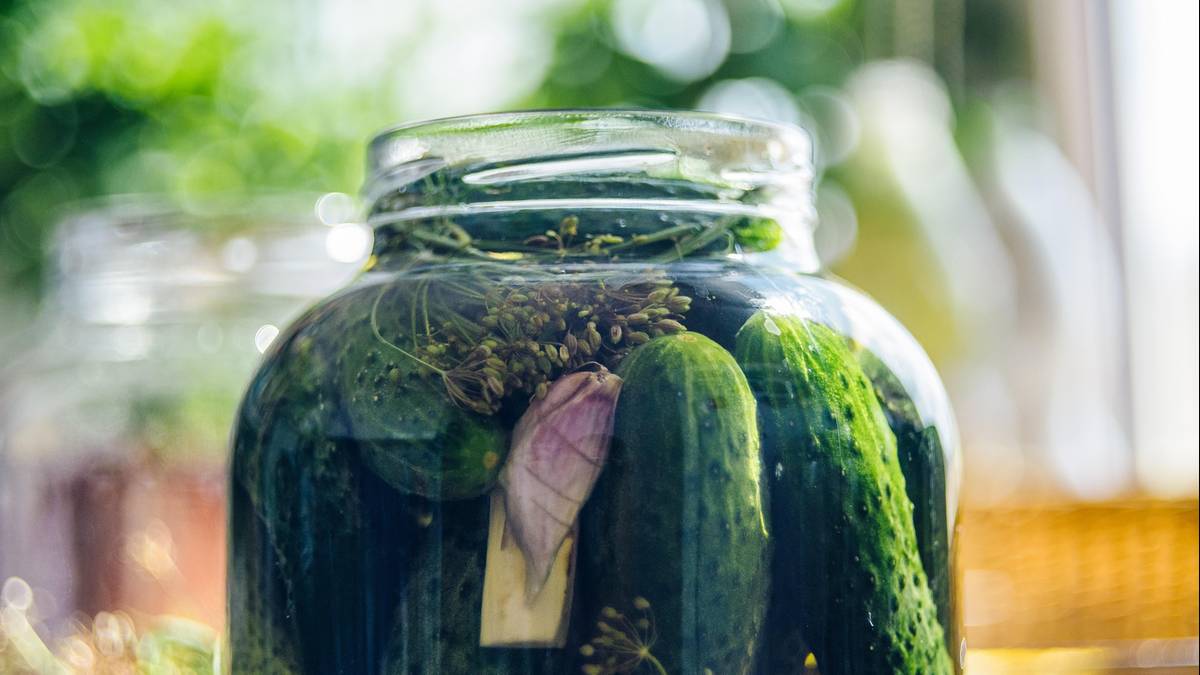 Ogórki kiszone mogą się popsuć bardzo szybko. Wszystko przez niewinny błąd