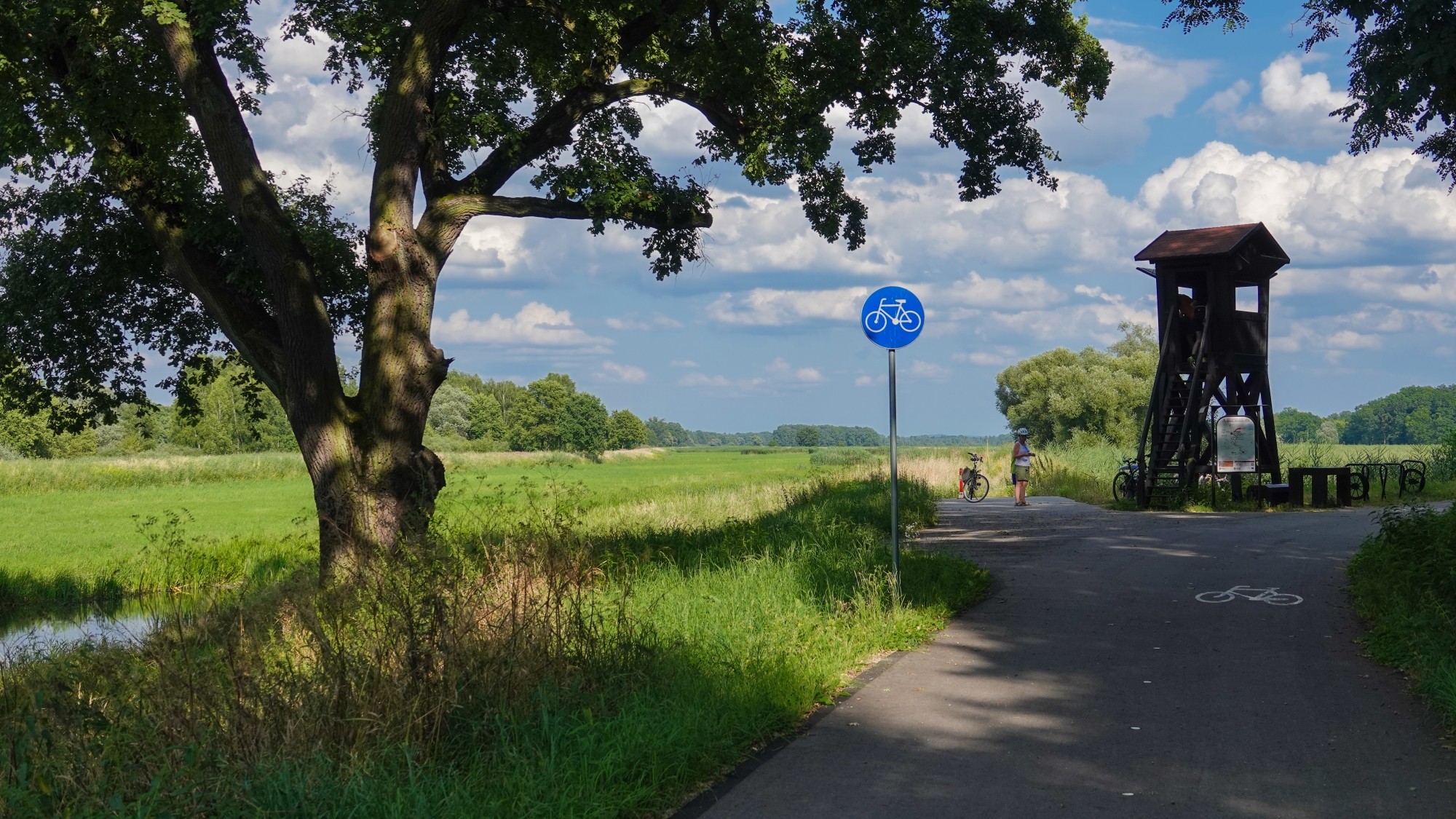 100 najpiękniejszych zdjęć 2021 roku - zdjęcie 5