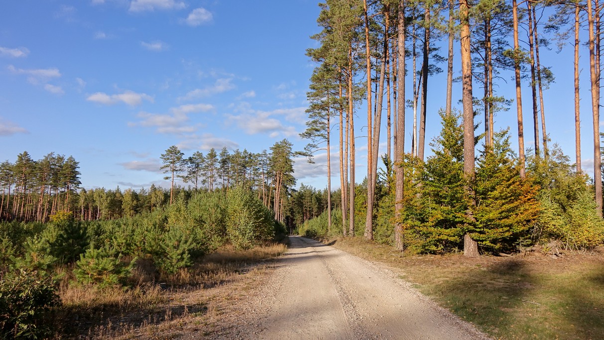 Lipiec w obiektywie - zdjęcie 21