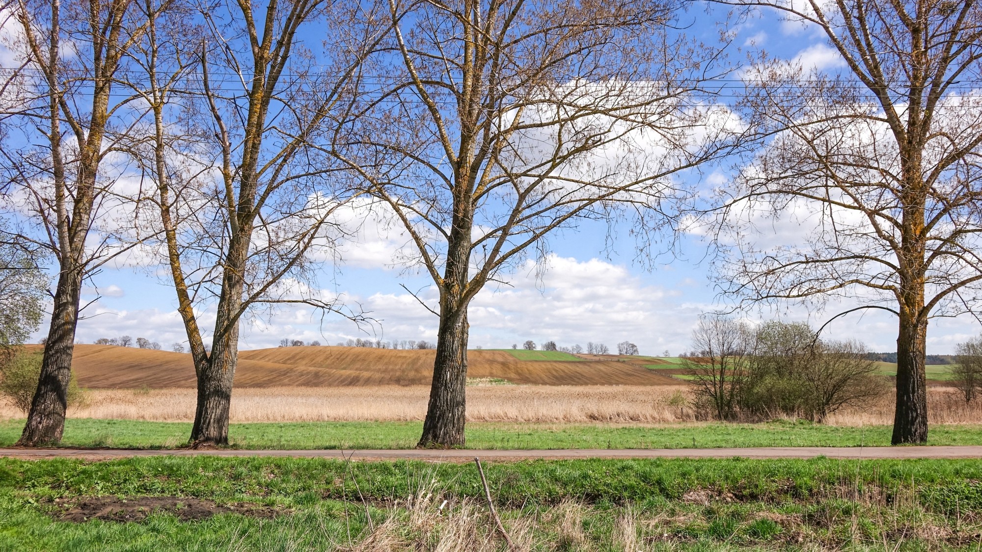 Mazury wiosną - zdjęcie 39