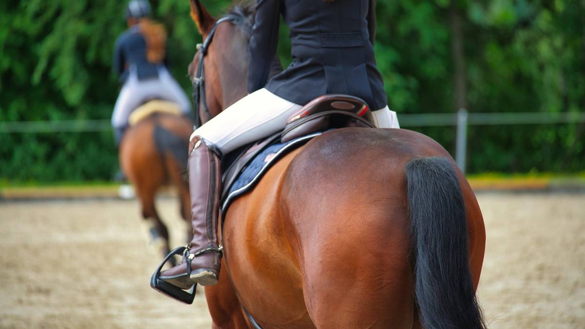 Galopem bez kasku. Umorzono śledztwo ws. śmierci 14-latki po upadku z konia