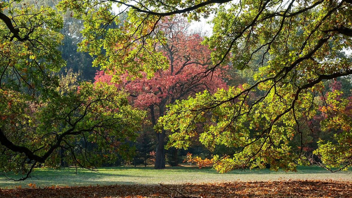 Jesienne klimaty - zdjęcie 4