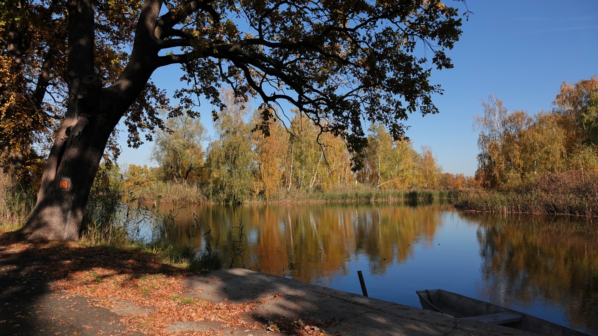 100 najpiękniejszych zdjęć 2021 roku - zdjęcie 57