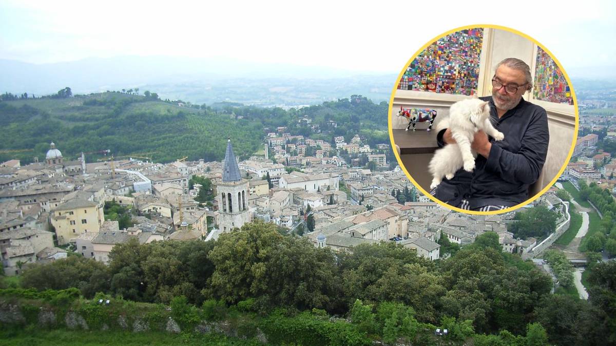 Włochy. Znany aktor rozgniewał mieszkańców miasta. Wszystko przez zaginięcie jego kota