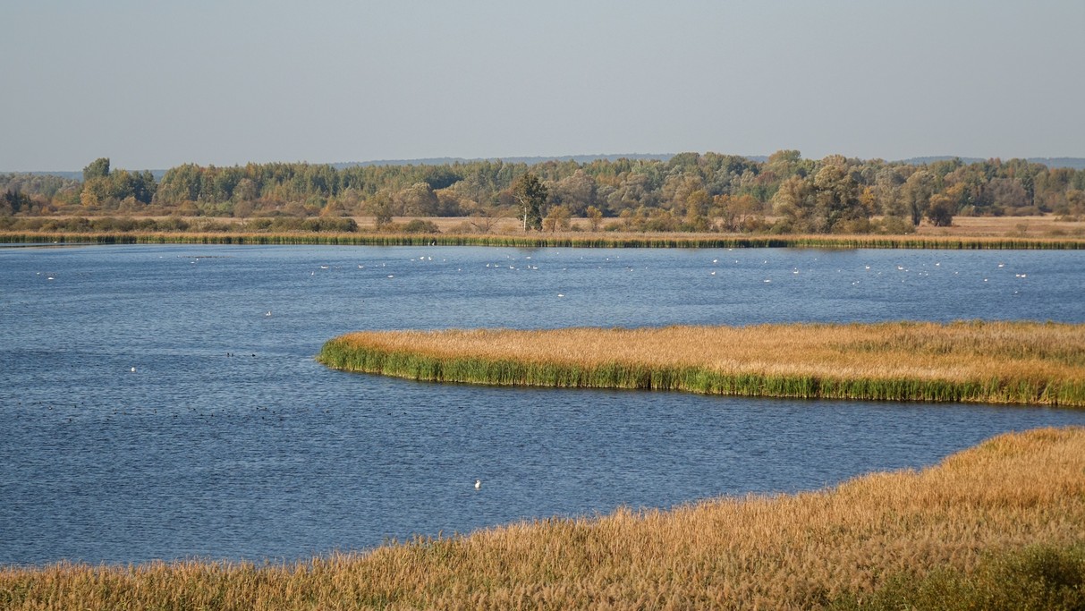 Październik w obiektywie - zdjęcie 64