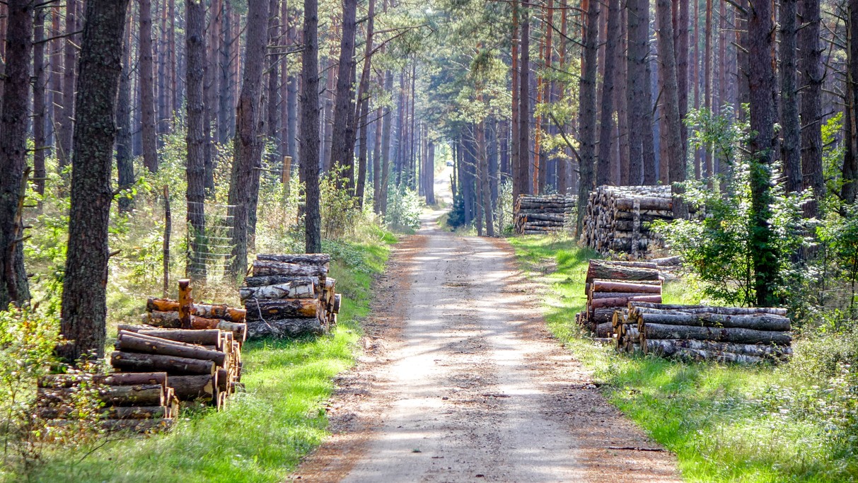 Najpiękniejsze polskie drogi - zdjęcie 11